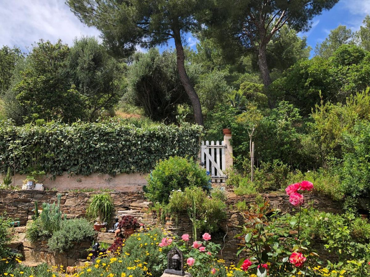 Logement Zen Sur La Colline Aux Mimosas Hyères Eksteriør bilde