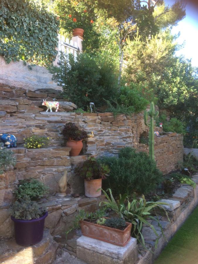 Logement Zen Sur La Colline Aux Mimosas Hyères Eksteriør bilde
